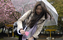 nonaka miki