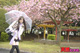 雨の日に野外で飛びっ子装着！雨とラブジュースでヌレヌレっ！...thumbnai16