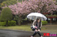 雨の日に野外で飛びっ子装着！雨とラブジュースでヌレヌレっ！...thumbnai28