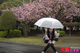 雨の日に野外で飛びっ子装着！雨とラブジュースでヌレヌレっ！...thumbnai29