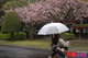 雨の日に野外で飛びっ子装着！雨とラブジュースでヌレヌレっ！...thumbnai30